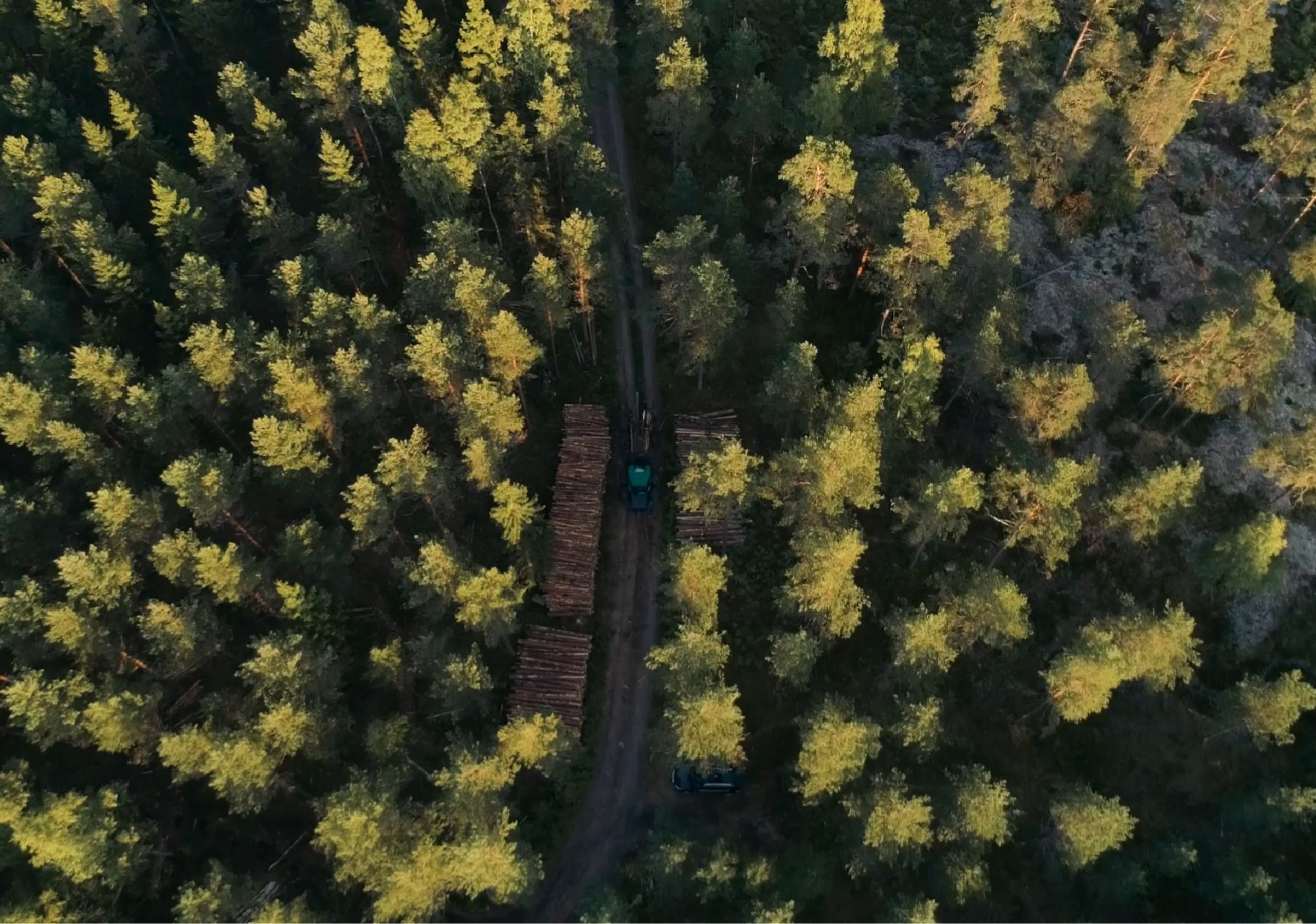 Le bois, matÃ©riaux noble