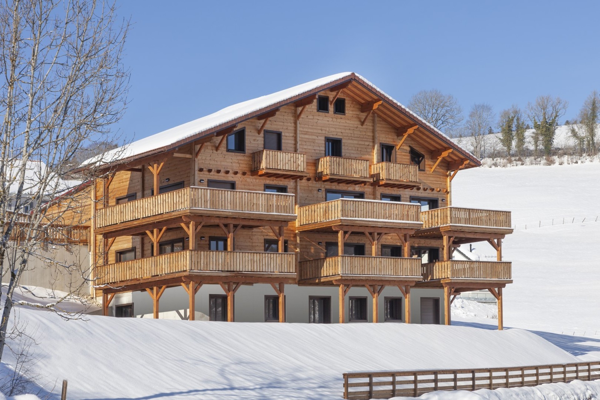 Logements collectifs en bois